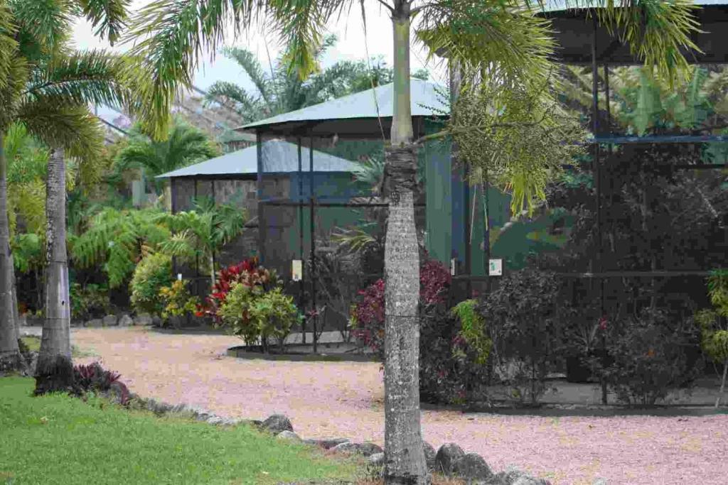 Bed and Breakfast Daintree Wild Bed & Breakfast Екстер'єр фото