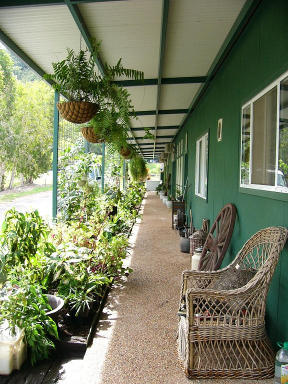 Bed and Breakfast Daintree Wild Bed & Breakfast Екстер'єр фото