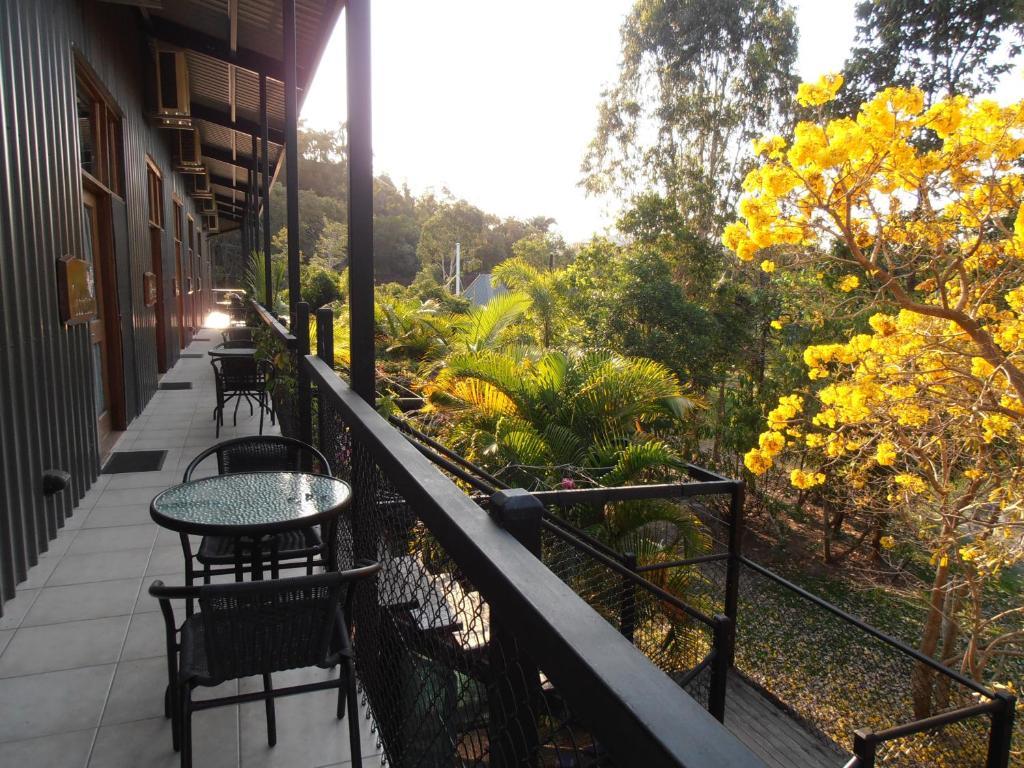 Bed and Breakfast Daintree Wild Bed & Breakfast Номер фото