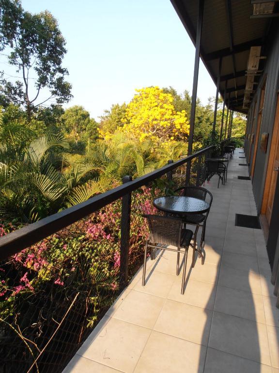 Bed and Breakfast Daintree Wild Bed & Breakfast Номер фото