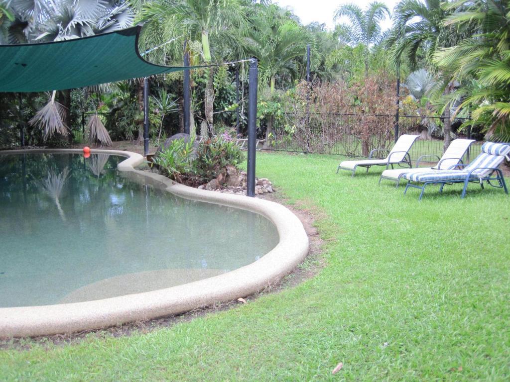 Bed and Breakfast Daintree Wild Bed & Breakfast Екстер'єр фото