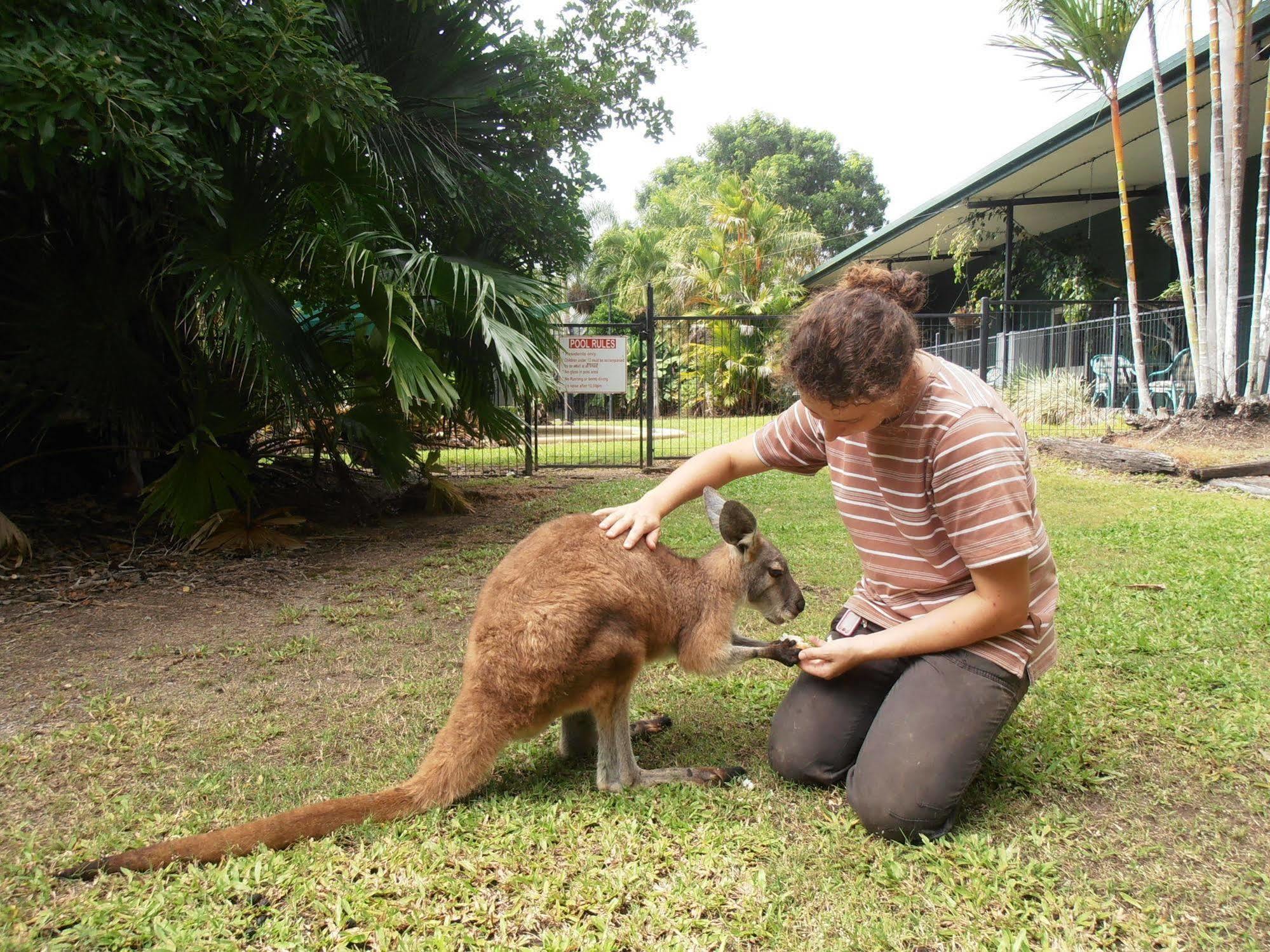 Bed and Breakfast Daintree Wild Bed & Breakfast Екстер'єр фото